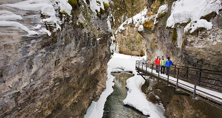 A group of hikers walk on a supported trail in an icy canyon.