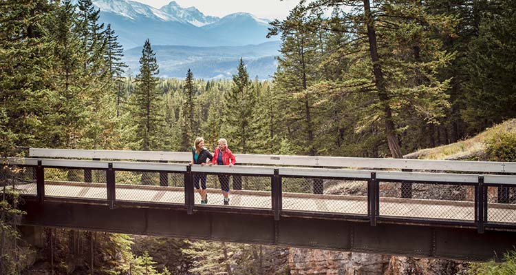 Two people stand on a bridge overlooking a large canyon.