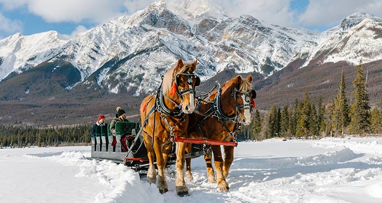 Two horses lead a sleigh across a snowy field.