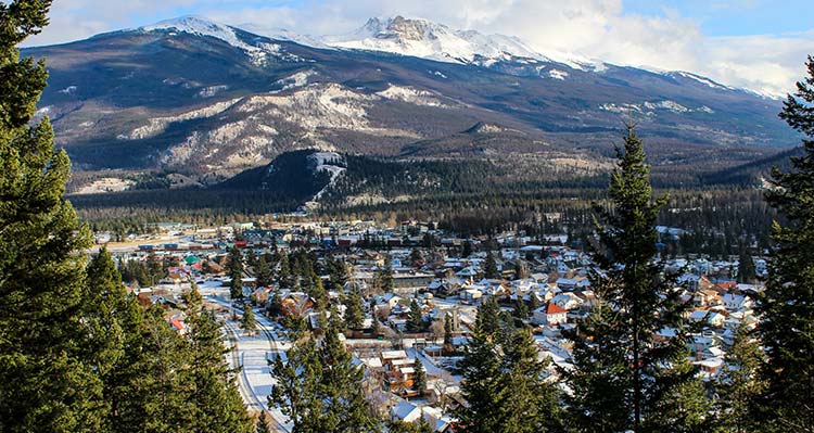 A view between trees above a small town below mountains.