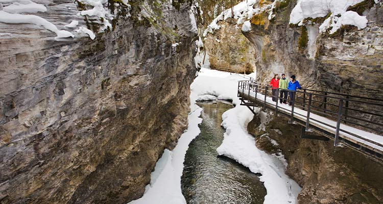 A group of people walk on a metal platform path through a frozen canyon.