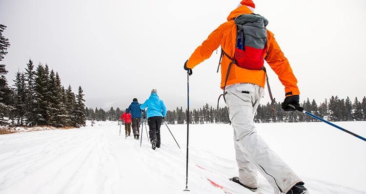 A group of people cross-country ski along an open snowy trail.