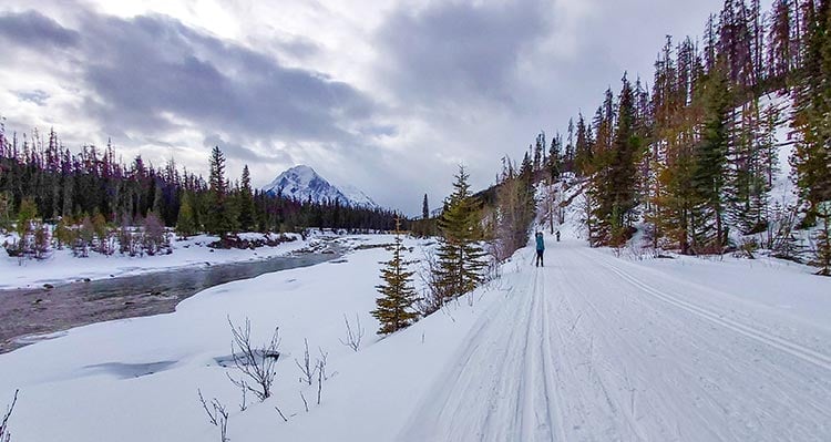 A view down a cross-country ski train alongside a river.