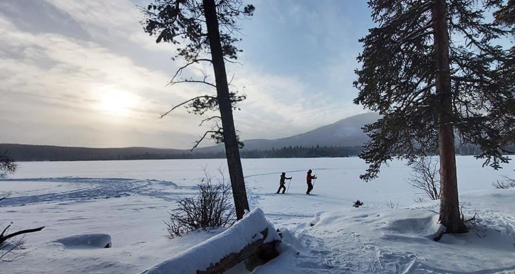 Two people ski on a frozen lake between tall conifer trees.