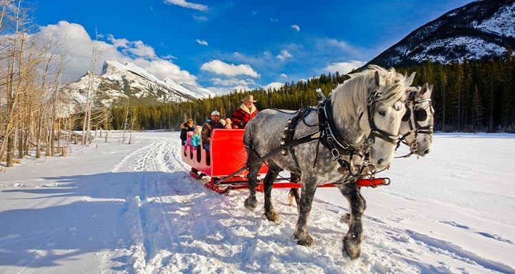 A horse-drawn sleigh on a frozen field.