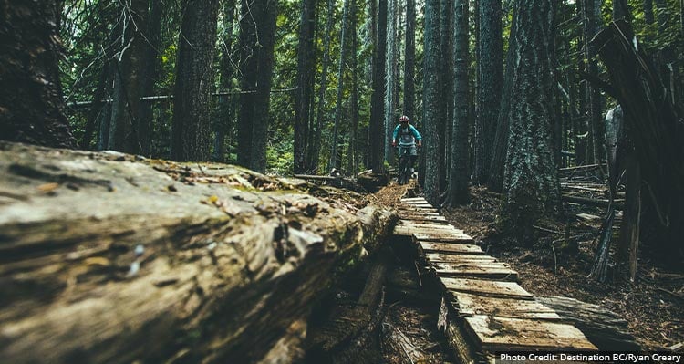 A mountain biker roles down the wooden ramp in the forest biking trail.