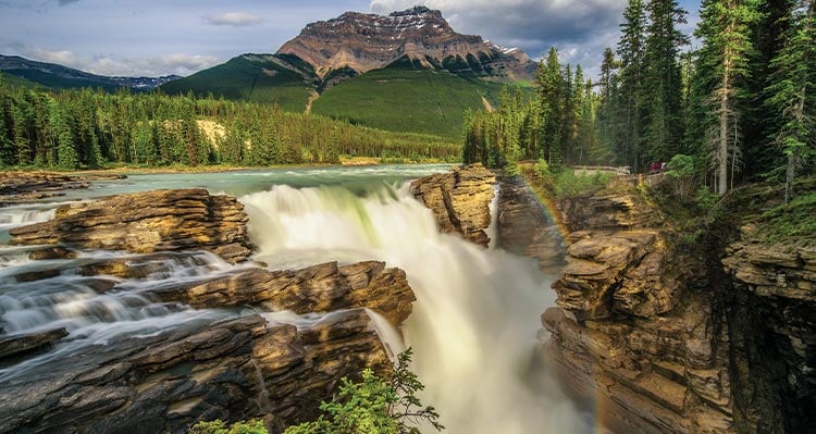 A river flows into a water fall, surrounded by forest.