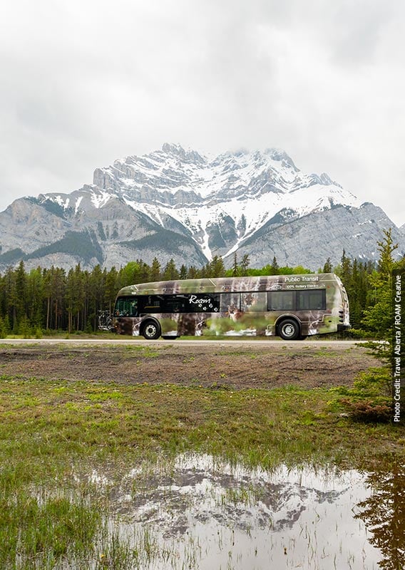 A Roam bus travels along a forest road