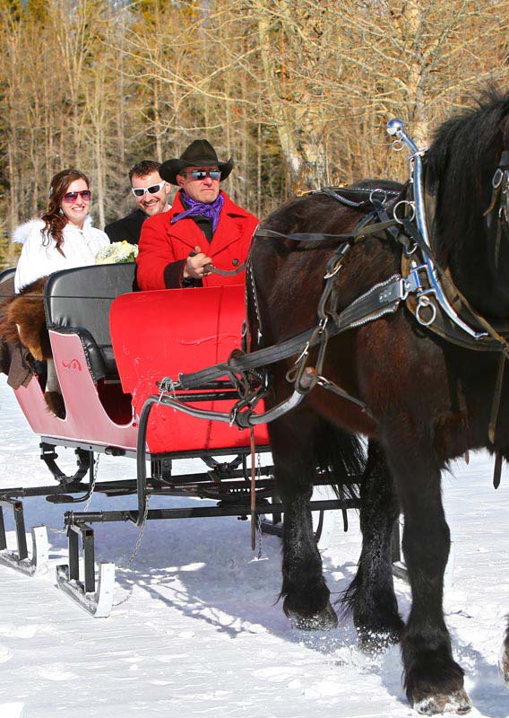 Private sleigh ride in Banff National Park