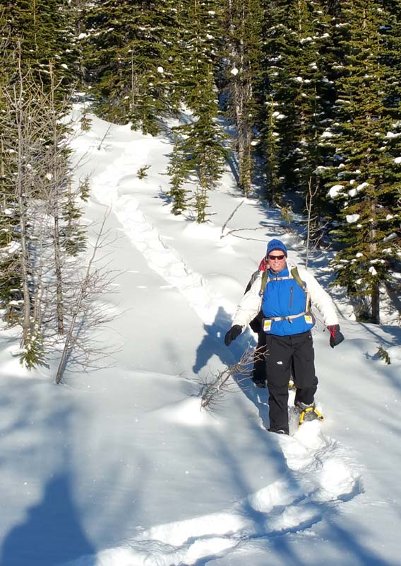 Two people walk through a snow-covered forest in snowshoes.