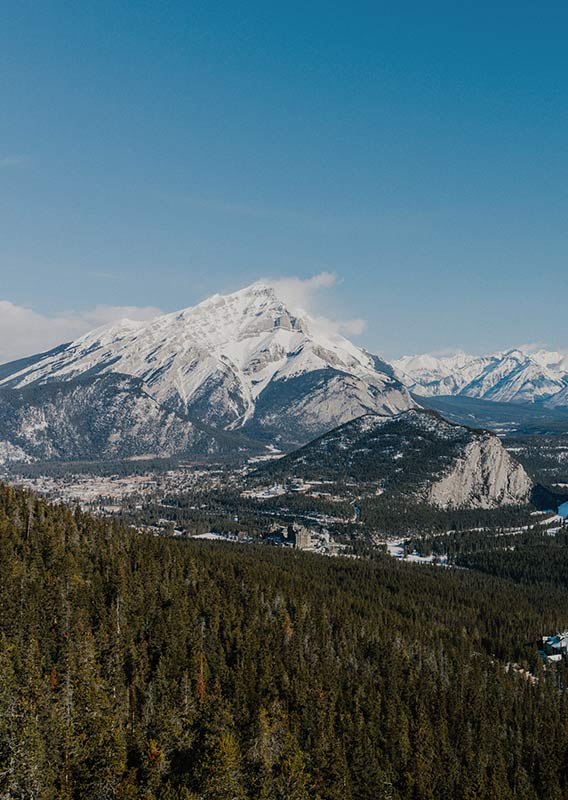 A view across a valley from a forested mountainside.