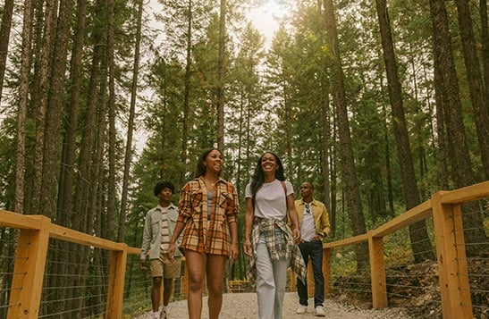 Four friends walk along a gravel path surrounded by trees on either side.