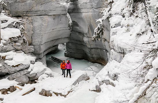 A group of people stand in an icy cavern
