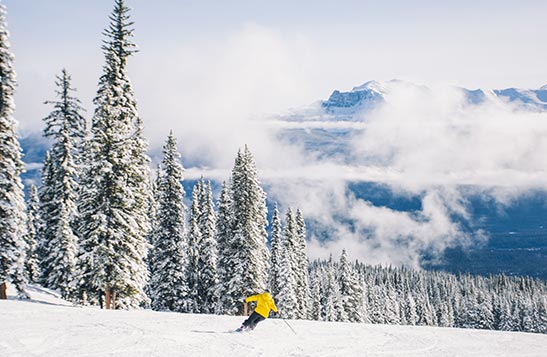 JLo Ski for Free