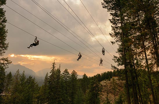 Four zipliners fly above the, silhouetted by the sunset clouds. 
