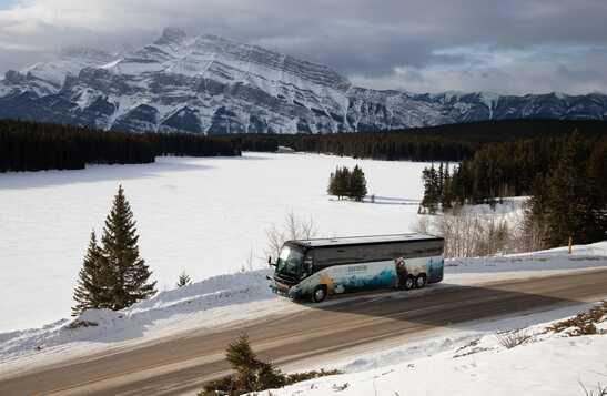 A bus drives down a road below tall mountains near a forest.