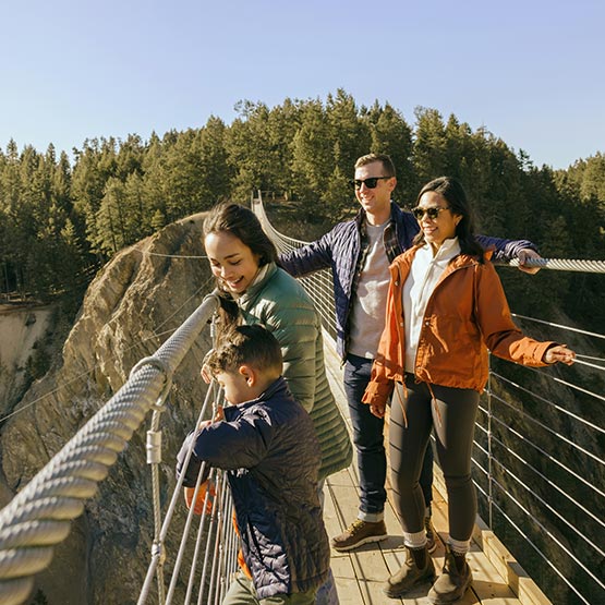 A family looking out from a wooden suspension into a canyon.