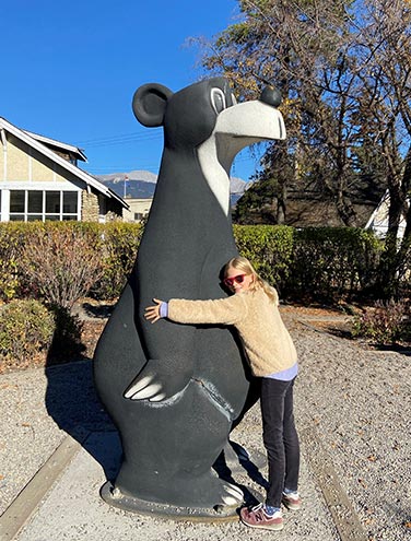 Partner Offers in Jasper