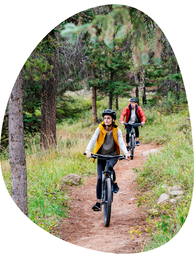 Mountain bikers on a trail between conifer trees.