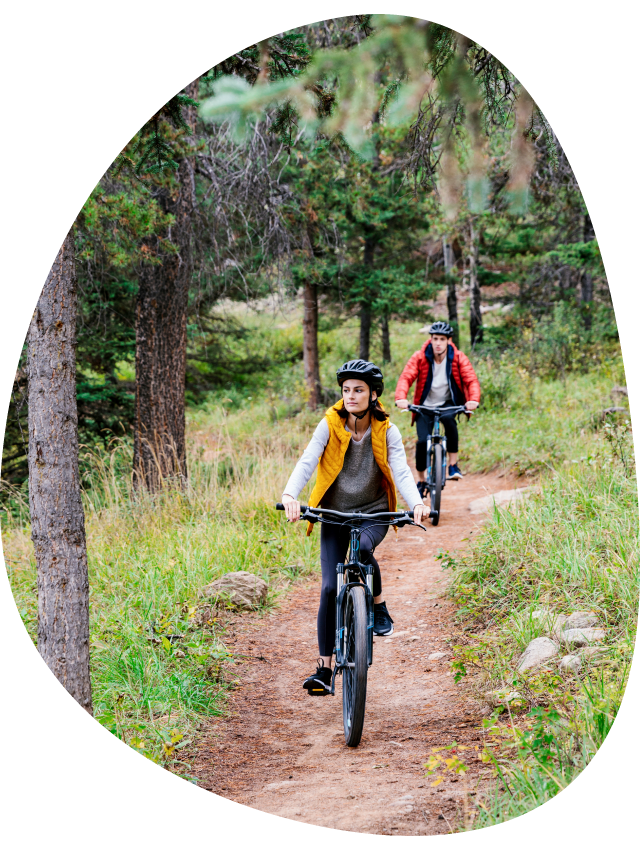 Mountain bikers on a trail between conifer trees.