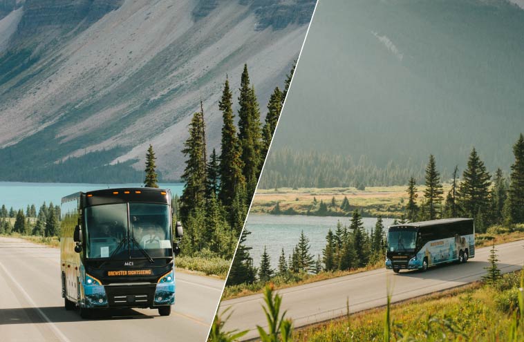 Airport Shuttle - Round trip