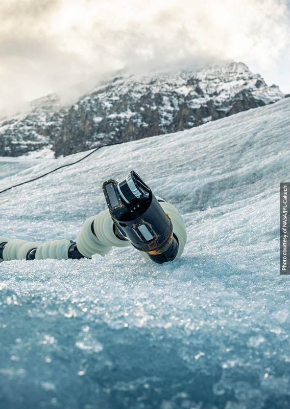 The robot EEL from NASA, resting on the Columbia Icefield.