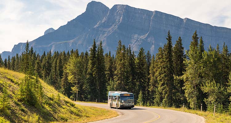 A Roam transit bus drives on a summer road with mountains and trees in the background.