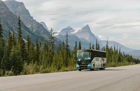 A bus drives down a road below tall mountains near a forest.