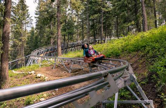 A parent and child riding the GSB Mountain Coaster