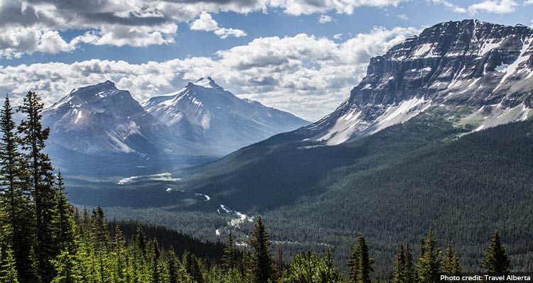 A view down a wide, forested mountain valley.