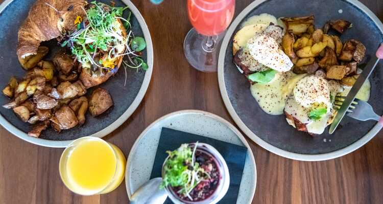 Top view of breakfast at Terra