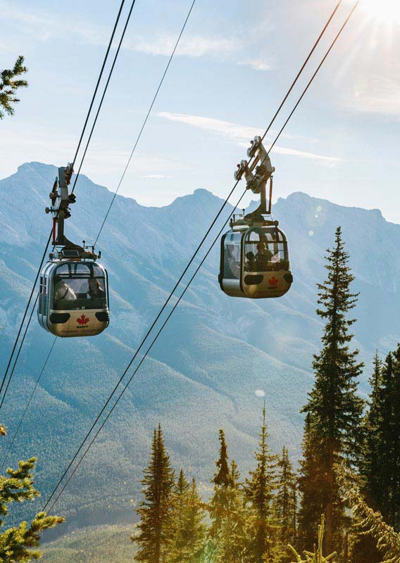 Two Gondola cars going up the mountain in summer.