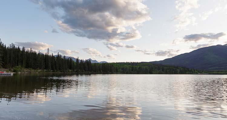 A reflection in a lake.