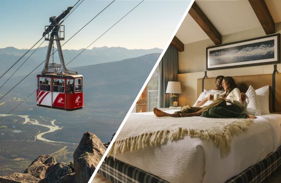 JLo - Stay & Soar Jasper - hotel page