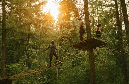 Two people walk across a wooden skybridge overlooking a canyon and trees.