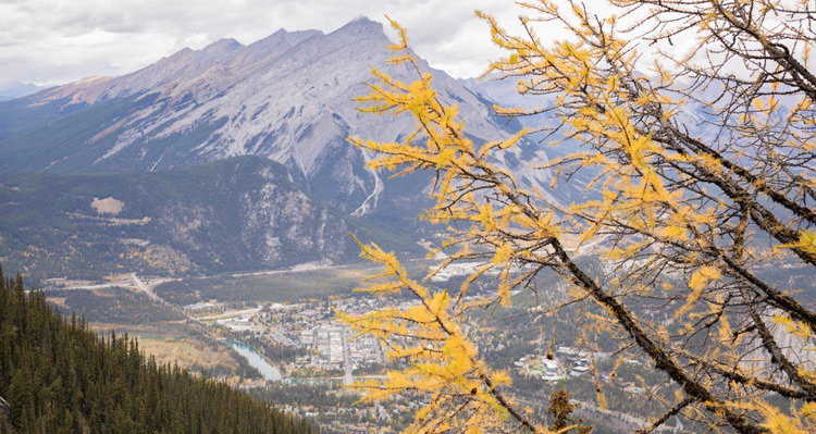 View of a mountain and town in the fall taken from a gondola viewpoint.