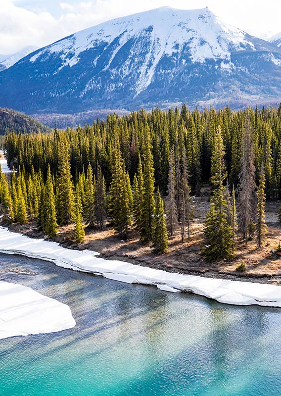An icy shoreline of a Jasper river with mountains in the background.