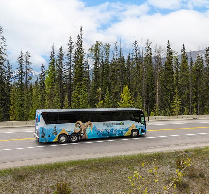 A coach bus drives down a highway along a forest of conifer trees.