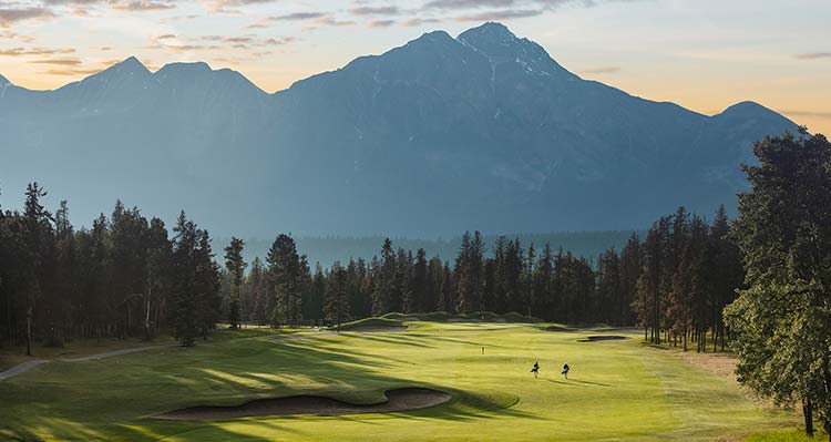 Golf course in summer