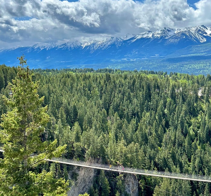 The Golden Skybridge with mountain view in the summer
