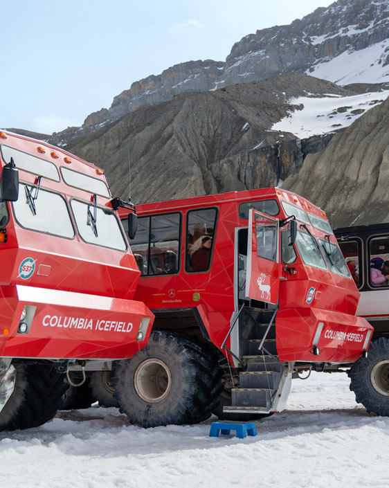 Ice Explorer vehicles parked on the Athabasca Glacier, with mountains in the background.