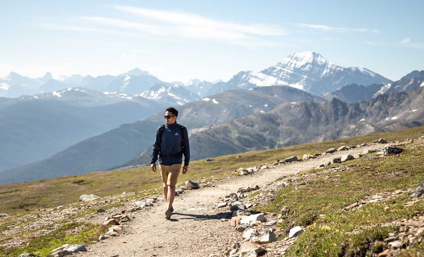 Summer - The Wilderness Is Calling